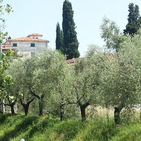 Apartment Casali Romei