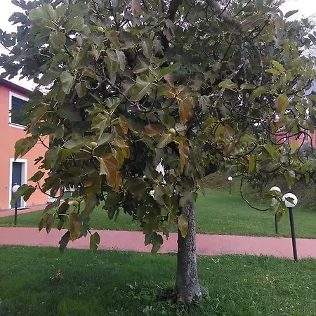 Appartamento Casali Romei