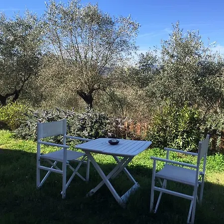 Apartment Casali Romei *